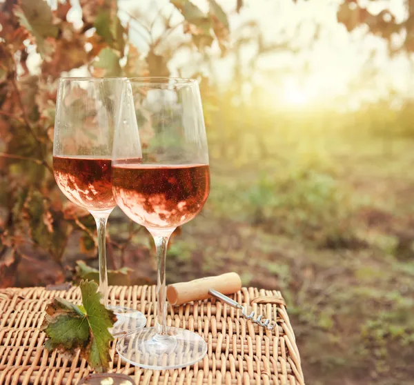 Two glasses of the rose wine in autumn vineyard