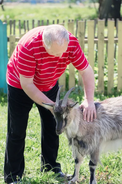Old men with goat