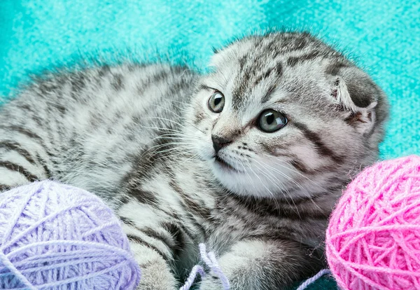 Kitten playing with a ball of yarn
