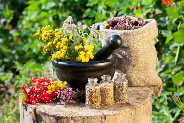 Healing herbs in mortar and in sack, herbal medicine