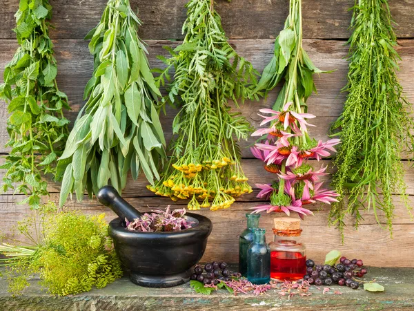 Bunches of healing herbs on wooden wall, mortar with dried plant