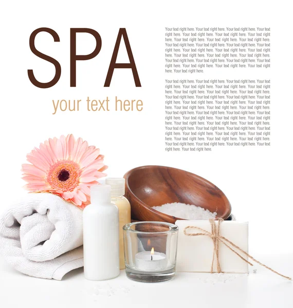 Products for body care and spa template