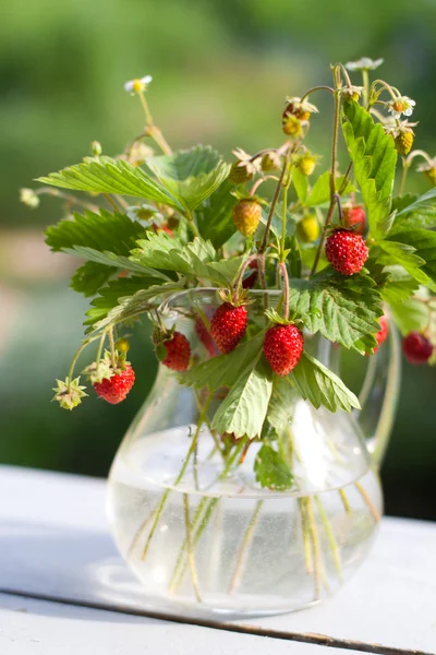 Bouquet of wild strawberry in a glass jug