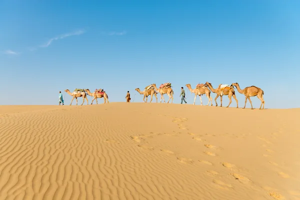 Caravan in sand desert dunes
