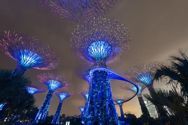 Night illumination in Gardens by the Bay, Singapore