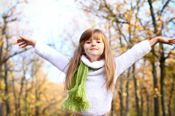 Little girl with hands up in the autumn forest