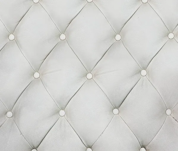 Luxury and modern style background with classic white and gray leather texture of an old retro door with metal buttons