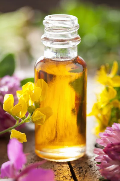 Essential oil and medical flowers herbs