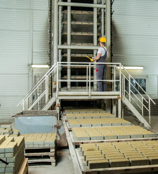 Man in a safety hat performing check on a factory