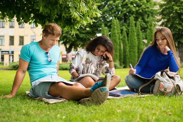 Group of multi ethnic students preparing for final exams in a city park