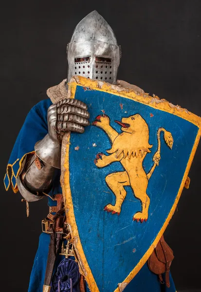 Knight in blue in hiding behind his shield