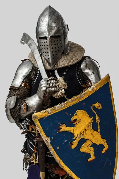 Portrait of armed knight with his shield