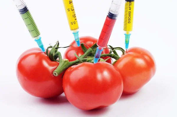Four tomatoes with different color syringes in them