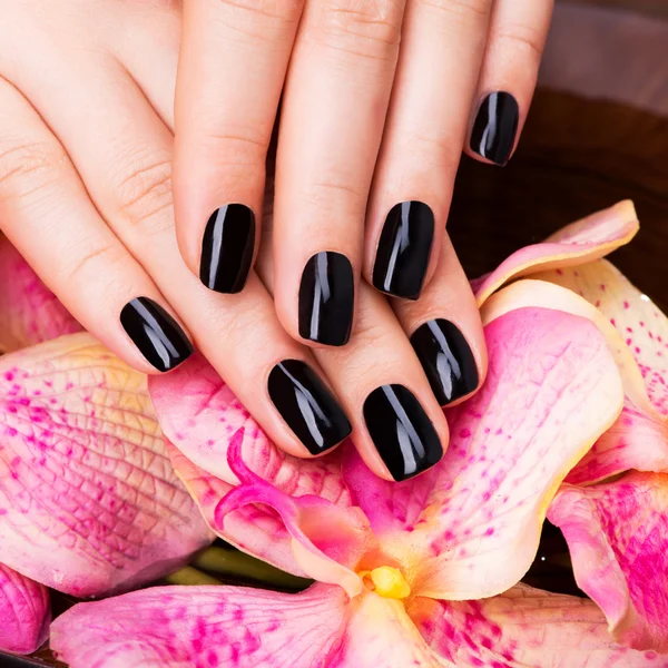 Women hands with black manicure