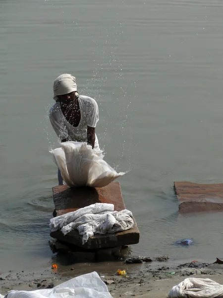 Dhobiwallah washes clothes in the Ganges River