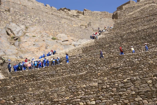 School kids in blue climbing agricultural terraces