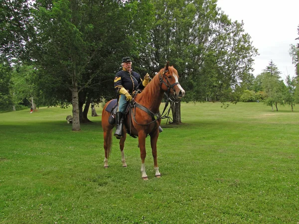 Union cavalry sergeant on his horse