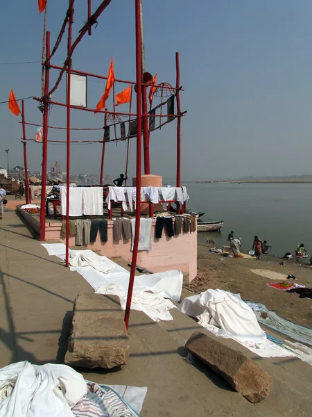 Dhobiwallah washes clothes in the Ganges River