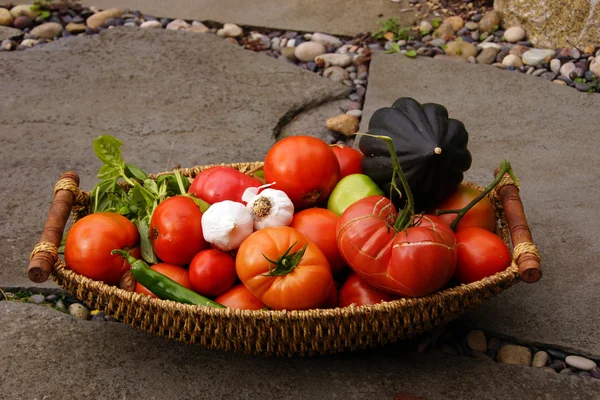 Fall harvest basket with tomatoe