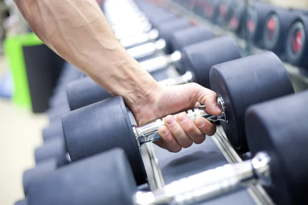Weight Training Equipment in gym