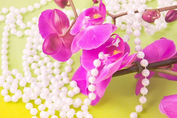Flowers of pink orchid and beads from white pearls on a yellow