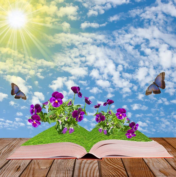 Open book on a wooden surface with flowers and butterflies, c
