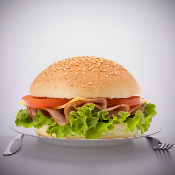 Fast food big sandwich on plate