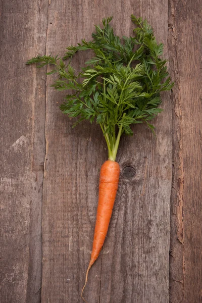 Fresh carrot bunch