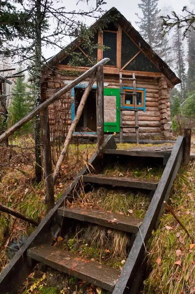 Деревянный дом в лесу.
