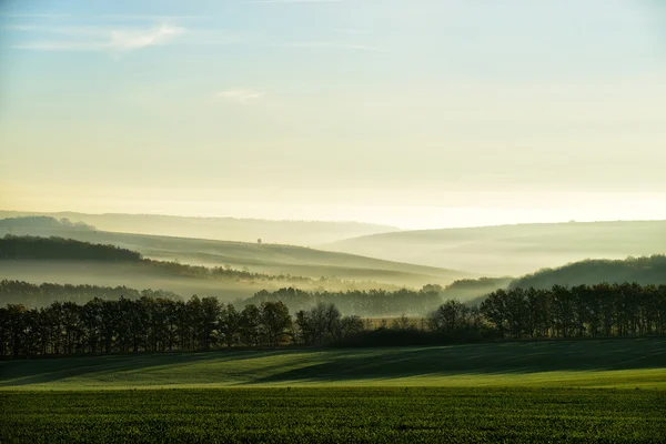 The hills in the fog