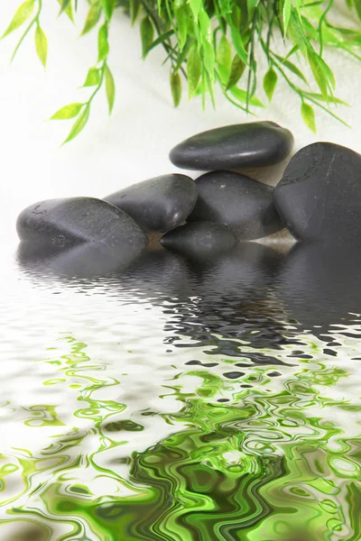 Shiny black stones in water