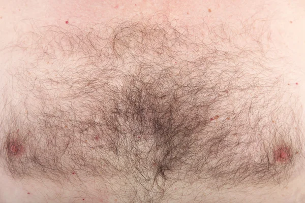 Mans hairy chest with nipples