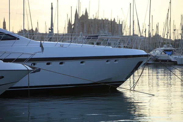 Luxury cabin cruisers at the marine harbour