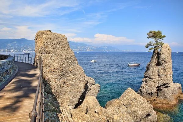 Wooden footbridge along Mediterranean sea coast in Portofino.