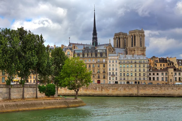 Notre Dame de Paris and parisian buildings.