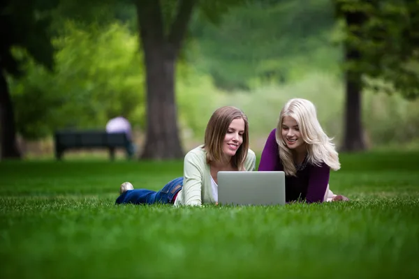 Women Using Laptop in Park