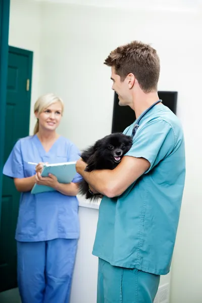 Veterinarian Doctor With A Dog Looking At Female Nurse Holding C