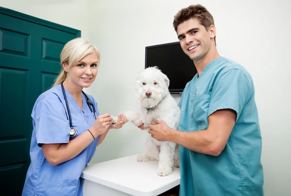Veterinarian Doctors With A Dog At Clinic