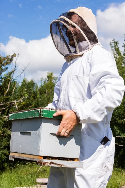 Beekeeper Carrying Honeycomb Box