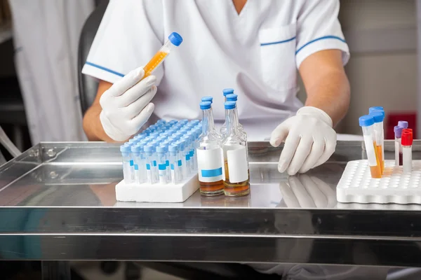 Researcher Analyzing Sample In Test Tube