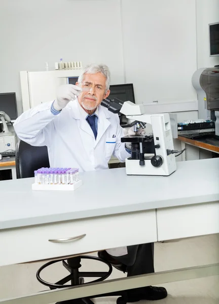 Researcher Analyzing Microscope Slide In Lab