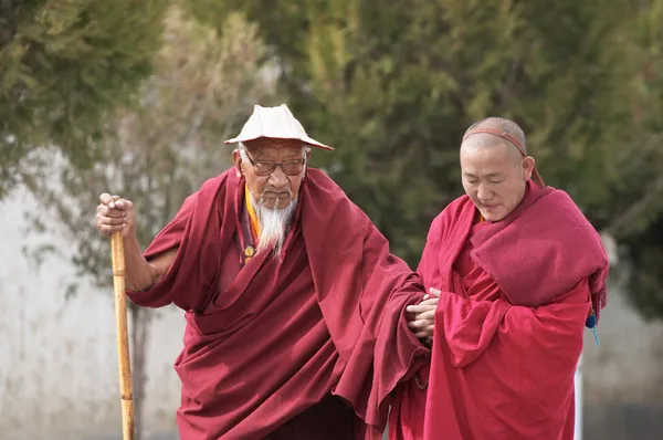 tibetan monks in tashilhunpo monastery