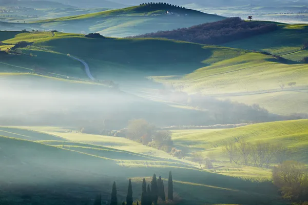 Tuscany, Italy - Landscape