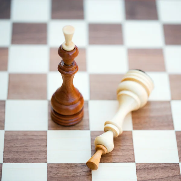 Two chess pieces alone on a chess board