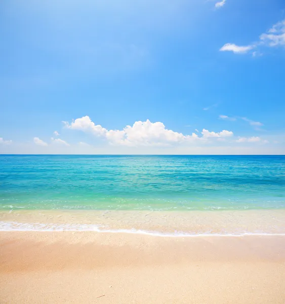 Beach and tropical sea