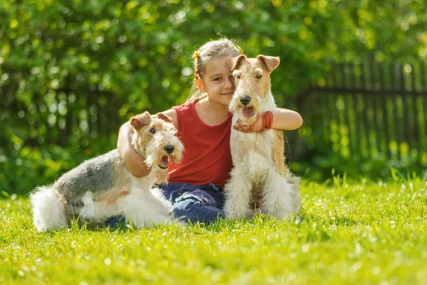 Young Girl and two fox terriers