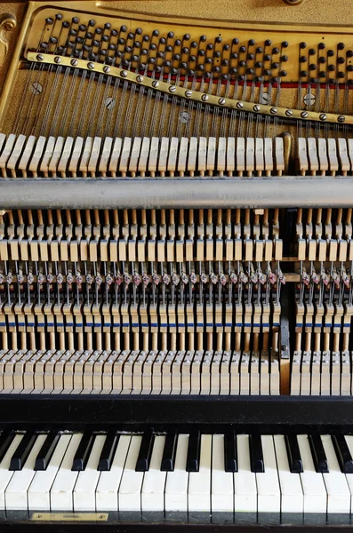 Inside the piano: string, pins, keys