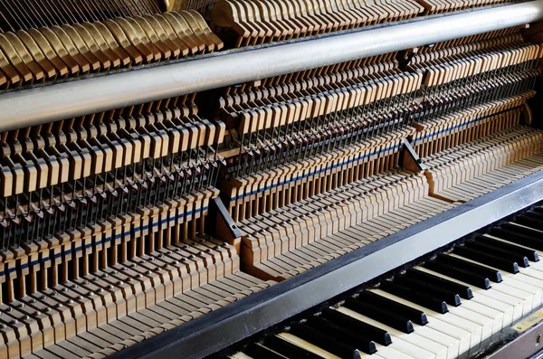 Inside the piano: string, pins and hammers