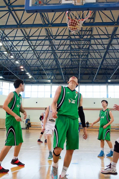 European youth basketball league