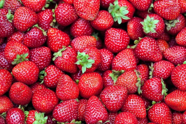 Fresh strawberries